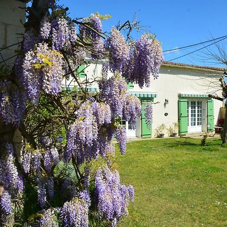 Le Petit Saule Villa Floirac  ภายนอก รูปภาพ